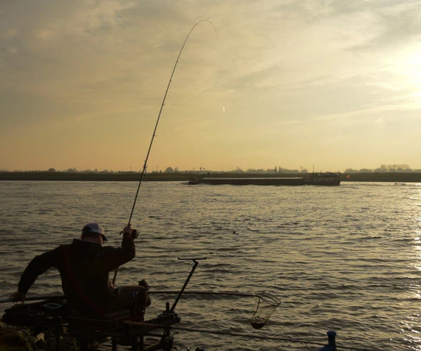 Cresta Identity Pro Tolerance Feeder 360 2 Cresta Identity Pro Tolerance Feeder 360 - Afbeelding 2