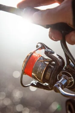 Ultimate Aurum 1000 22 Ultimate Aurum 1000 -Winkel Voor Visbenodigdheden cce34b6907ad4dca