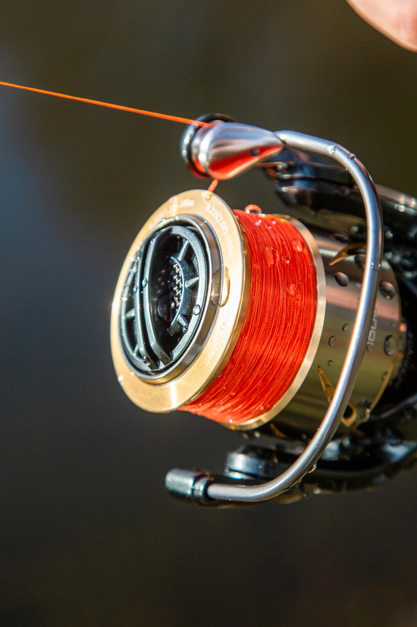 Ultimate Aurum 1000 2 Ultimate Aurum 1000 - Afbeelding 2